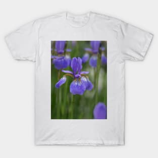 Beauty of an Iris T-Shirt